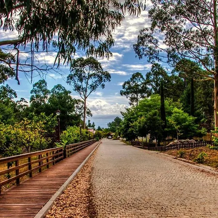 Διαμέρισμα Contemporary In Riveira + Sea View *